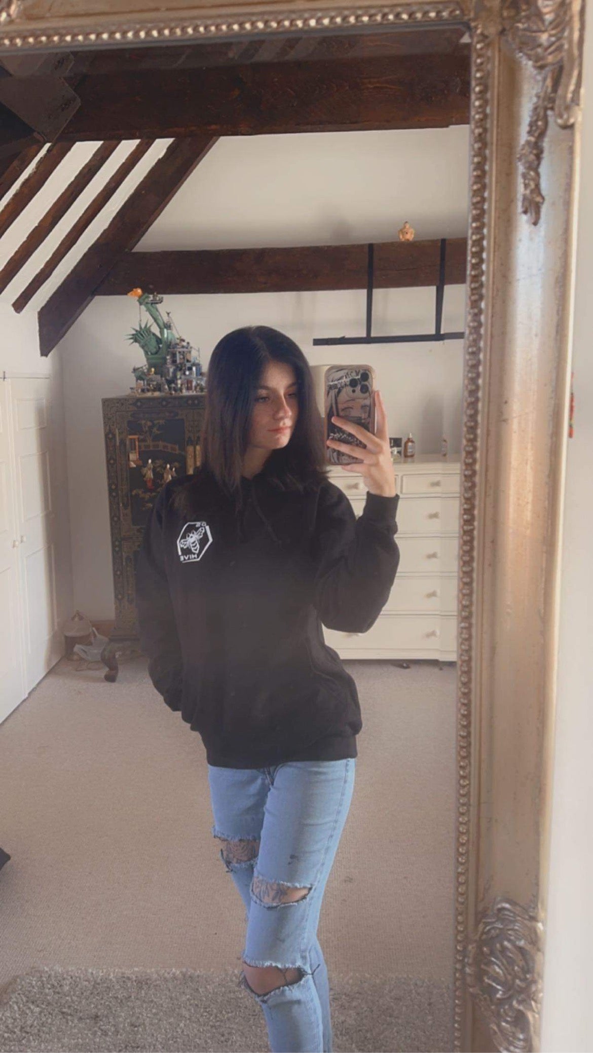 DS Hive Hoodies