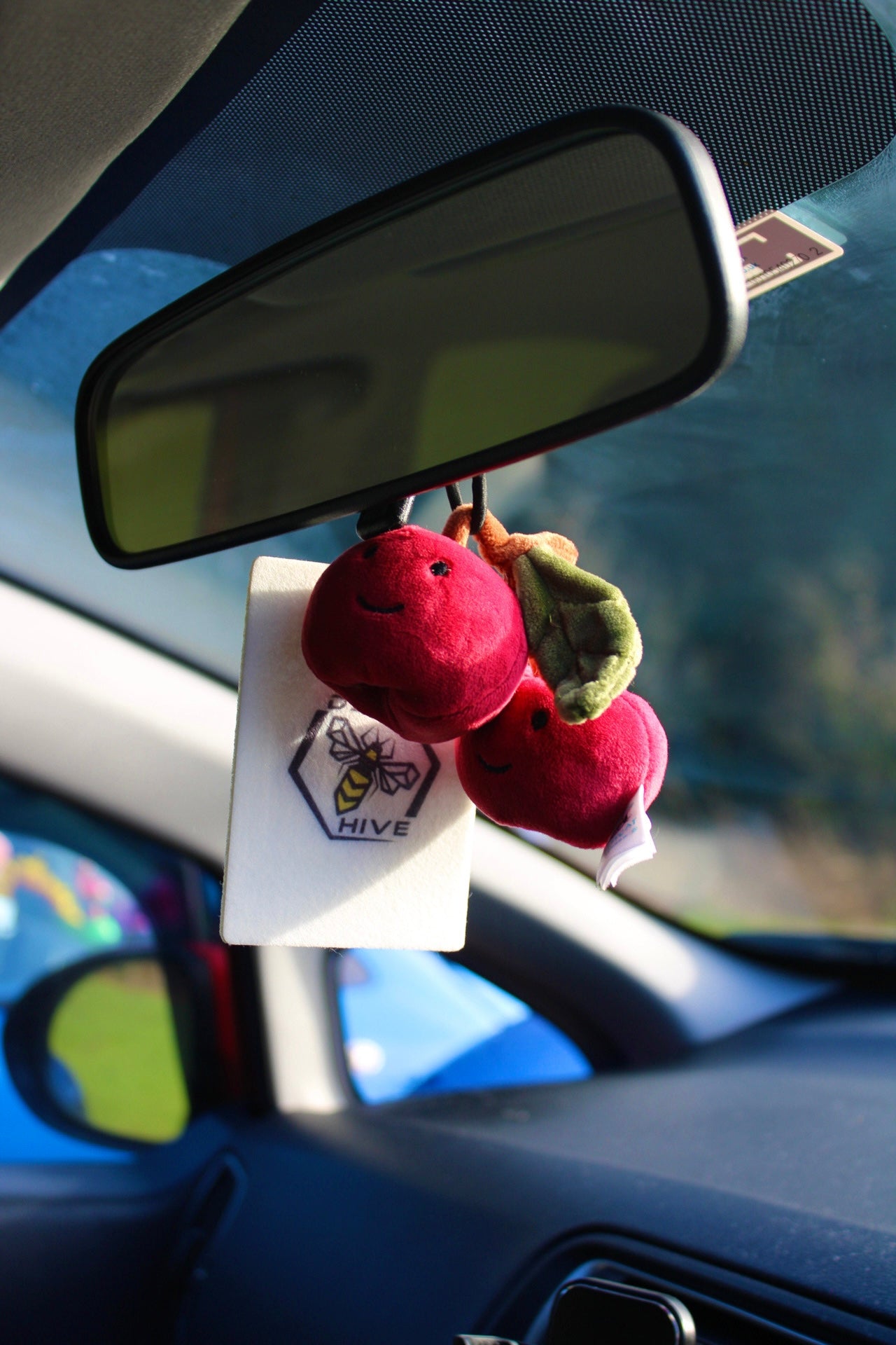 DS Hive Air Fresheners