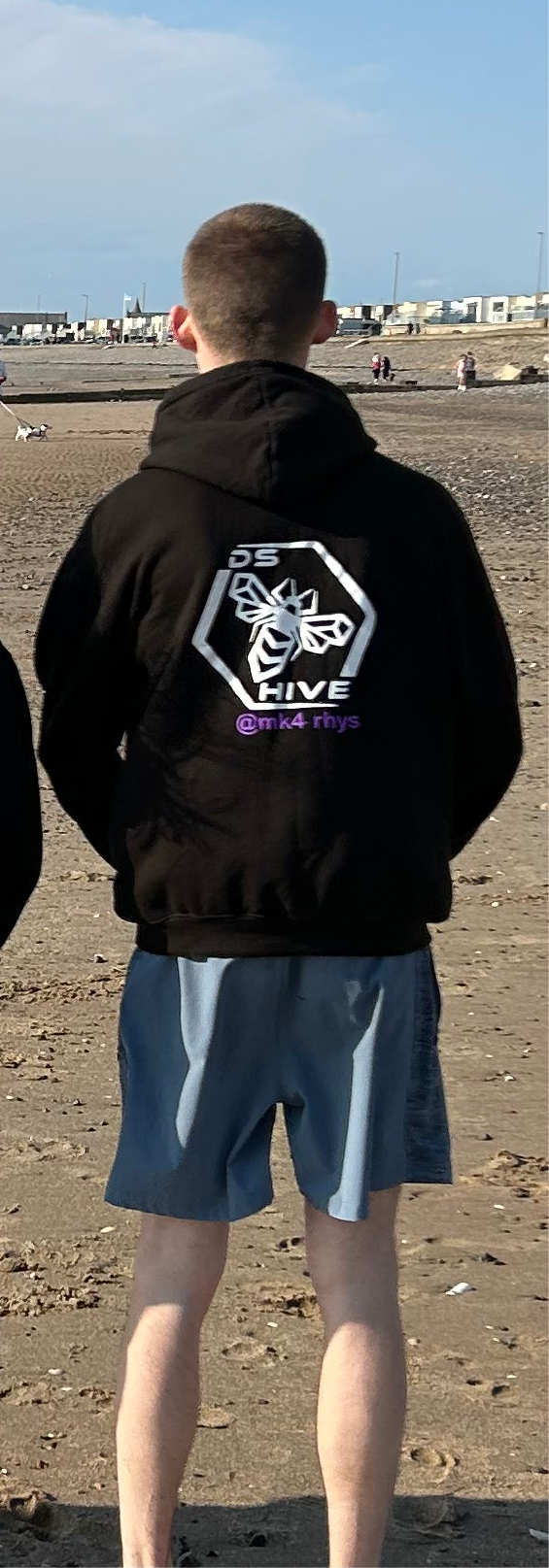 DS Hive Hoodies