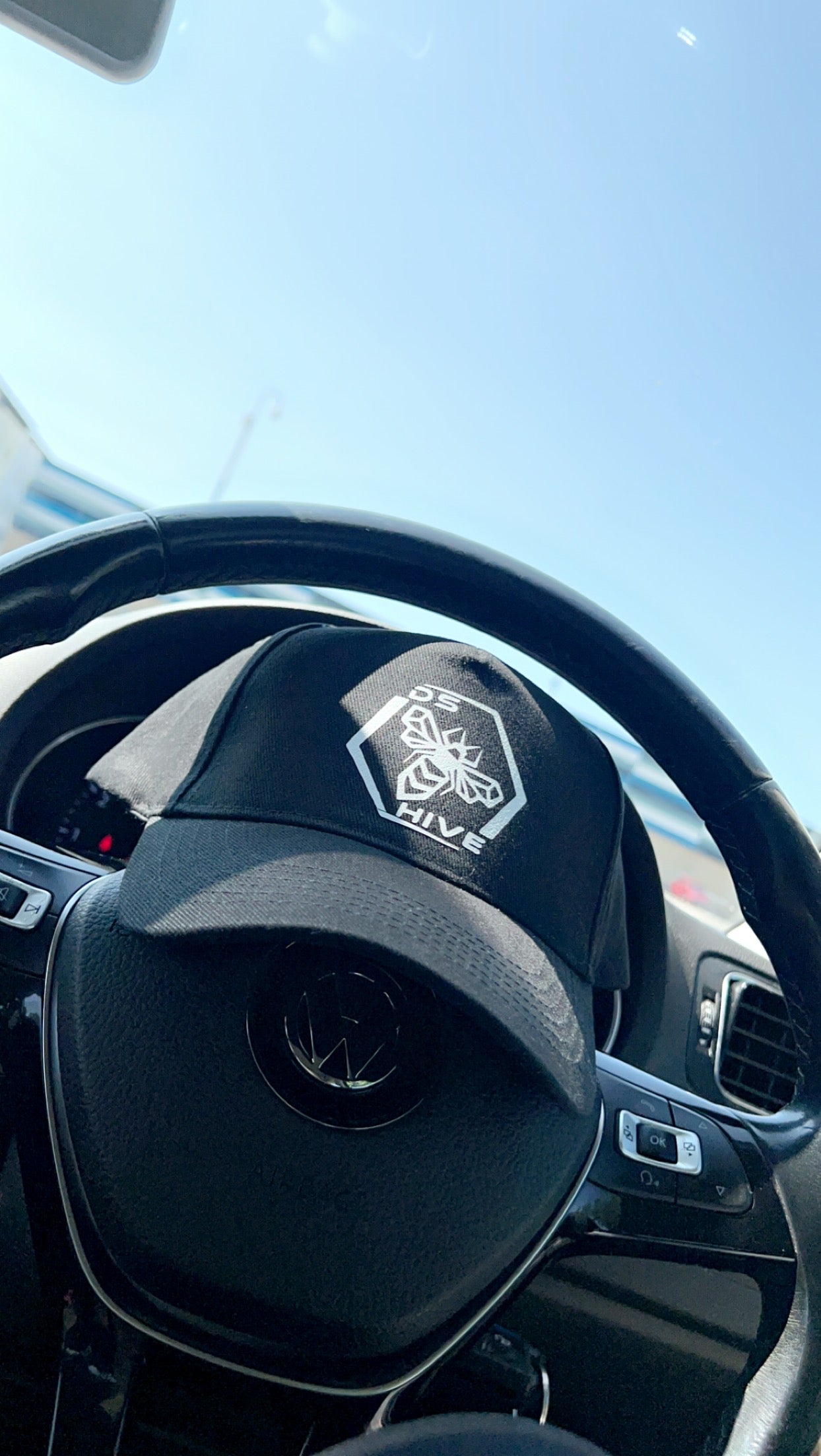 DS Hive Baseball Cap