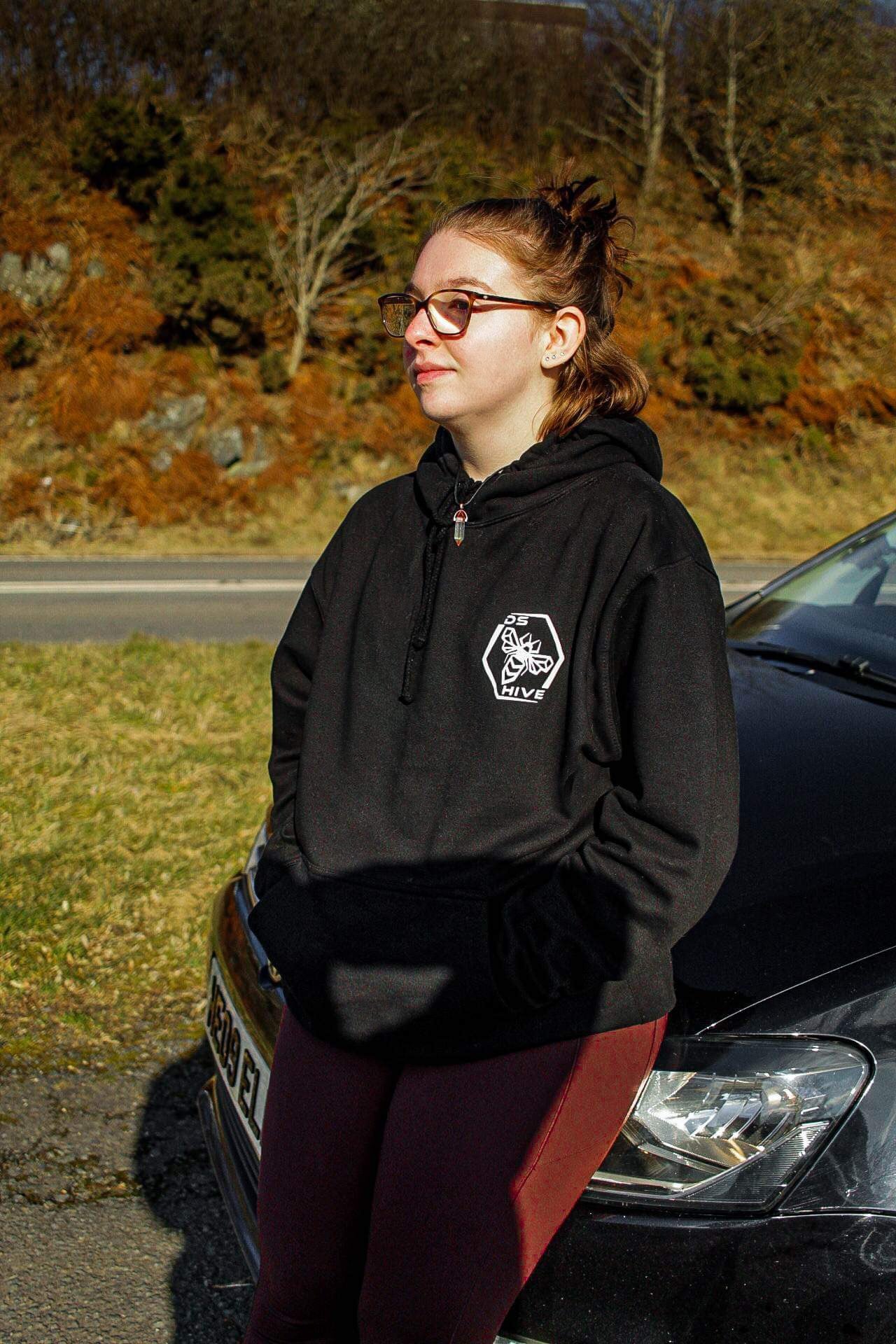 DS Hive Hoodies
