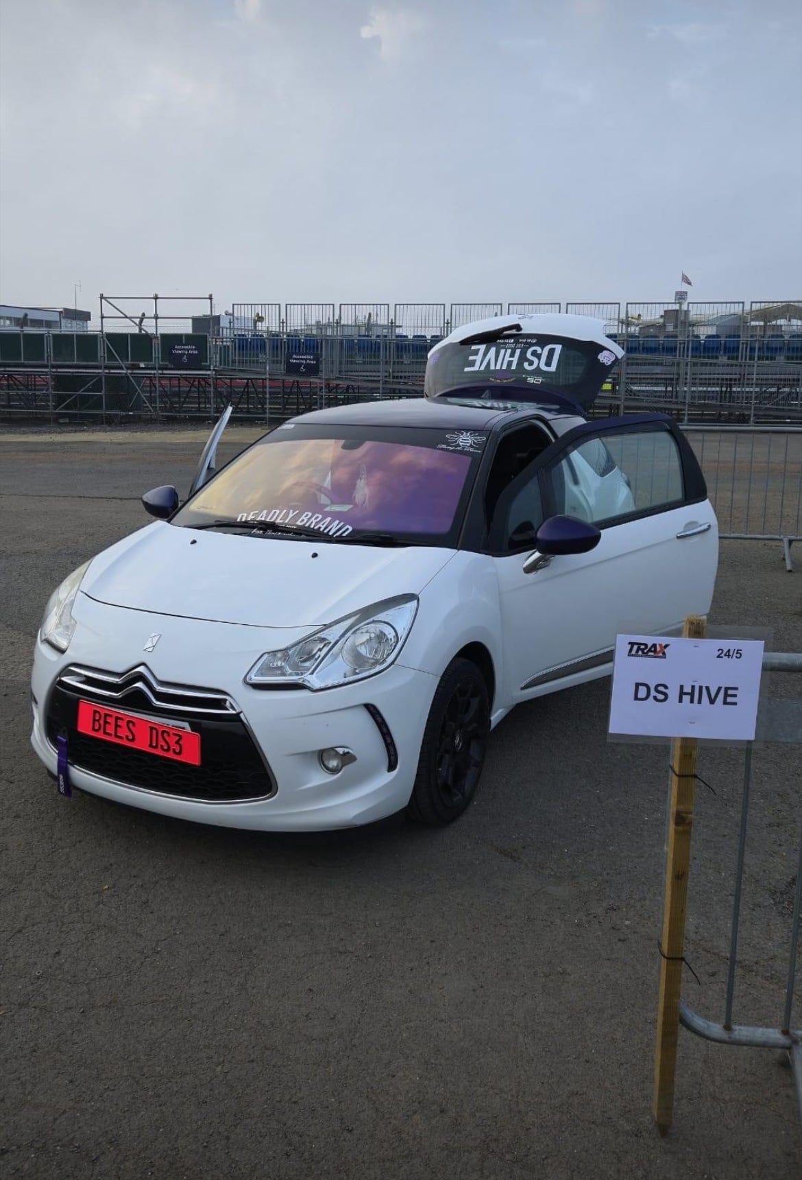 Big Rear Window Decal