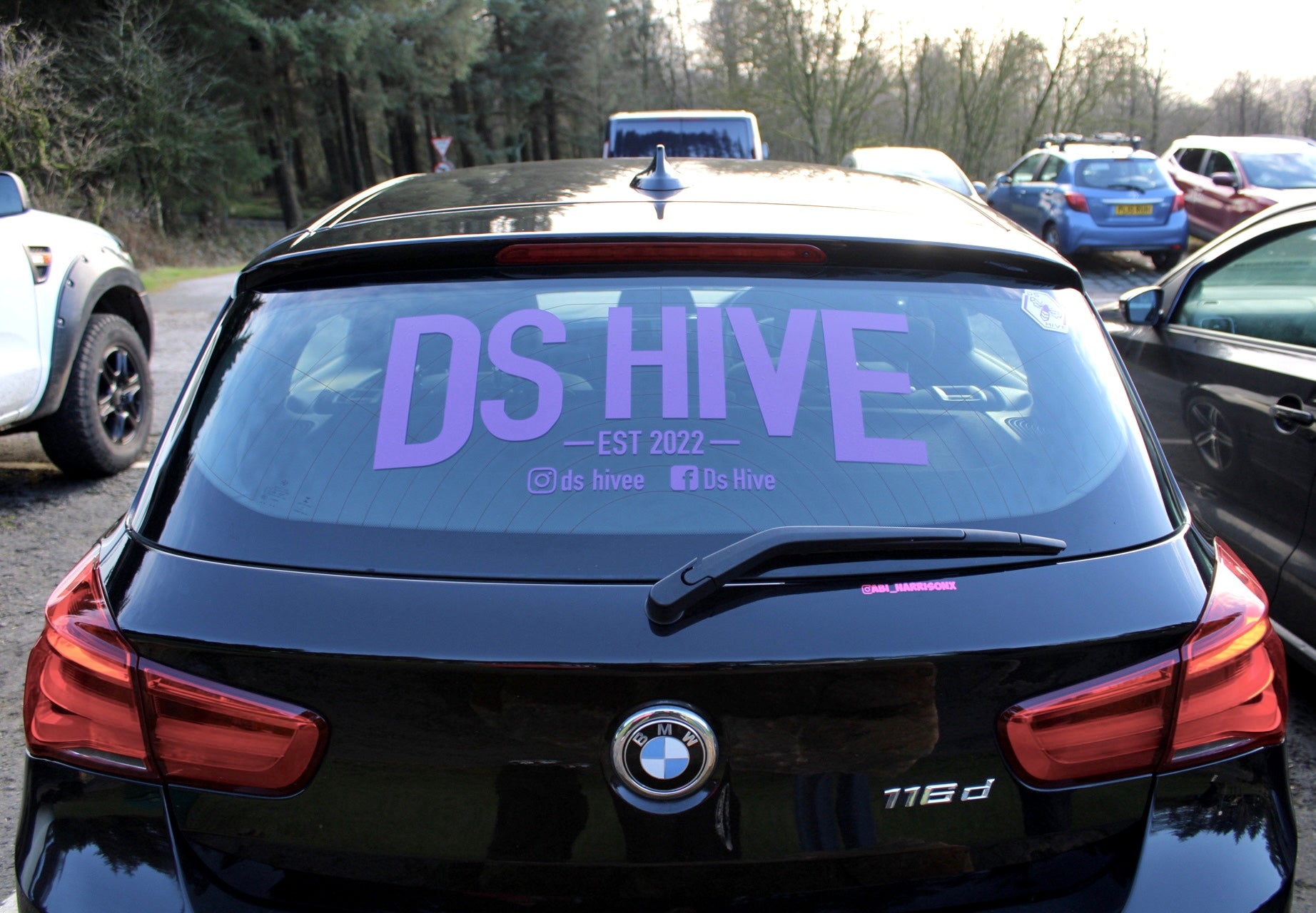 Big Rear Window Decal