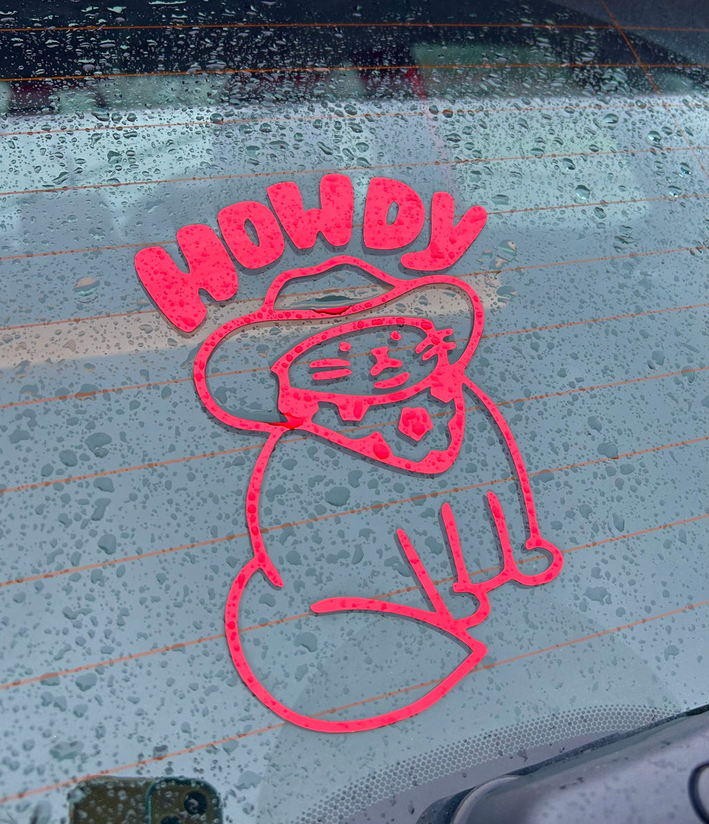 Howdy Cowboy Cat