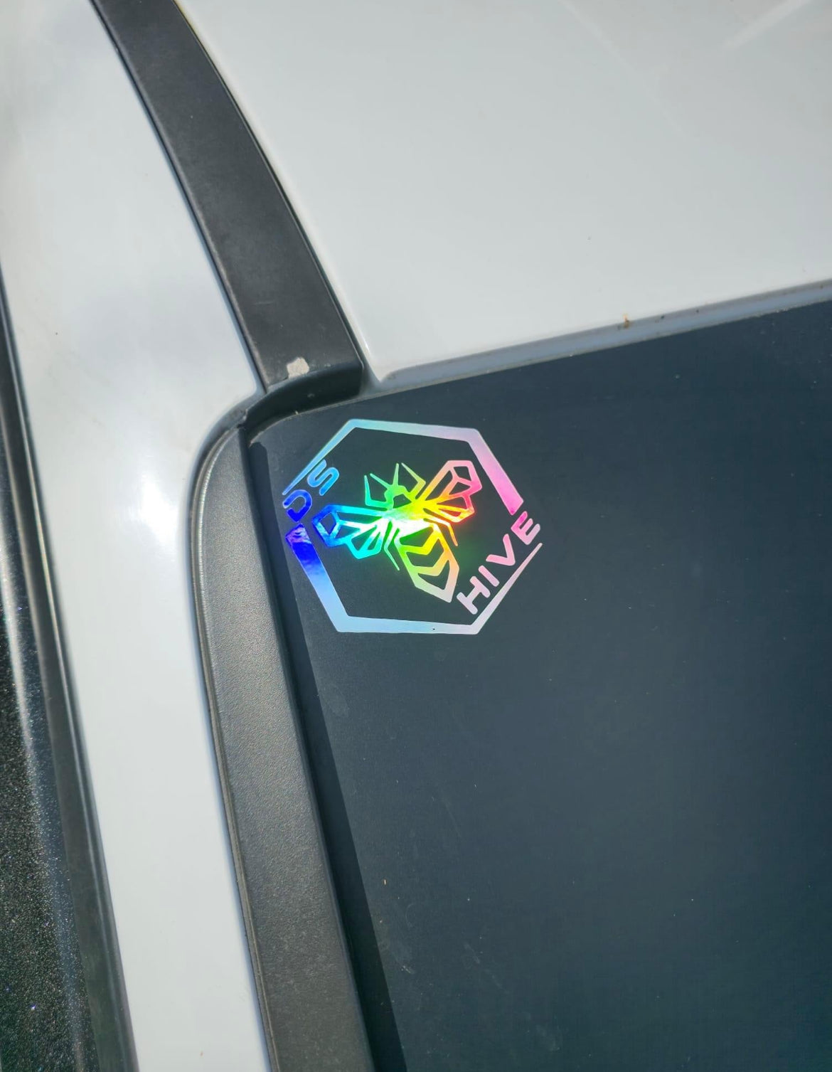 Classic DS Hive Logo Decal