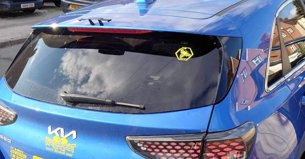 Classic DS Hive Logo Decal