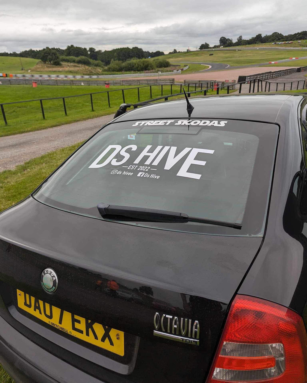 Big Rear Window Decal