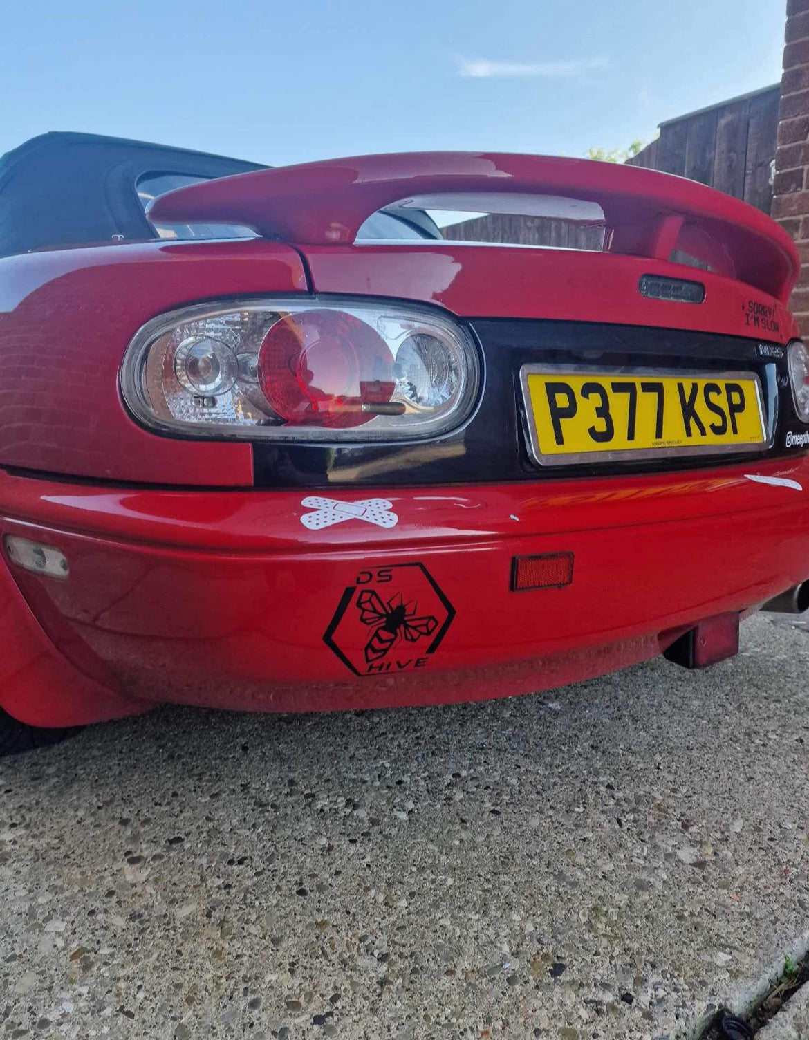 Classic DS Hive Logo Decal