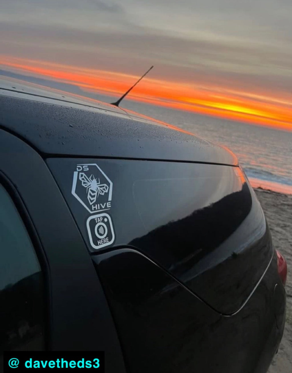 Classic DS Hive Logo Decal