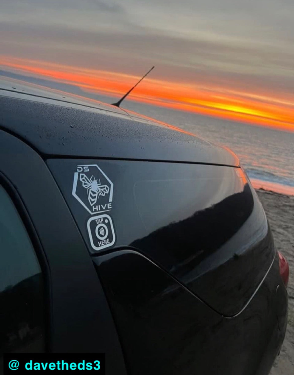 Classic DS Hive Logo Decal