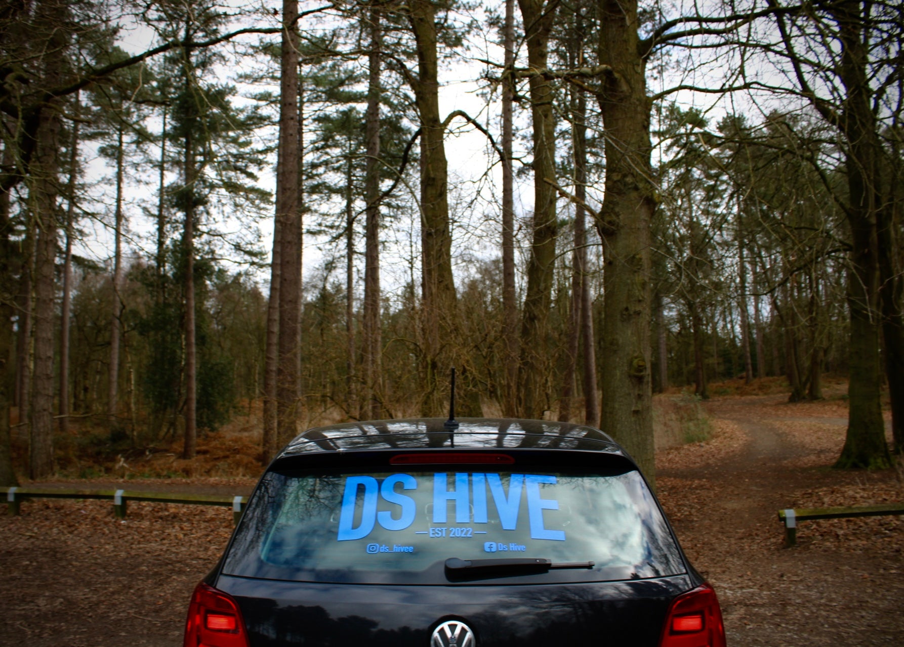 Big Rear Window Decal